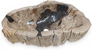 Lavabo Madera Petrificada Pieza Unica #31