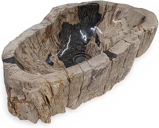 Lavabo Madera Petrificada Pieza Unica #6